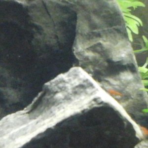 20170425_133325.jpg