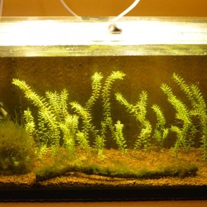tank 8.jpg