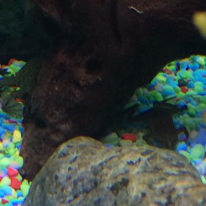 IMG_0356.JPG