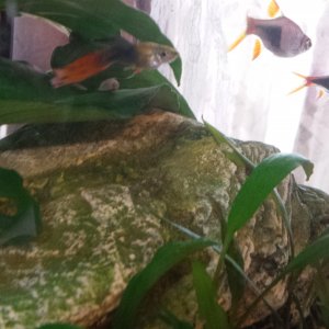 20170518_142507.jpg