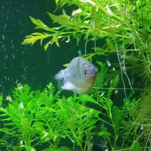 20170526_014917.jpg