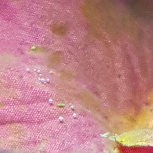 20170526_193955.jpg