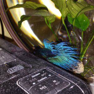 20170528_223037.jpg