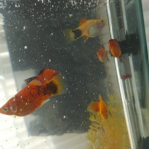 20170521_101148.jpg