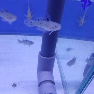 20170520_150501.jpg