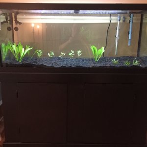 75g1Nov.JPG