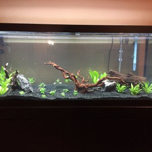 75g1Jan.JPG