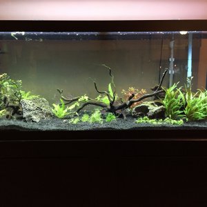 75g1March.JPG