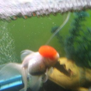 20170611_162157.jpg