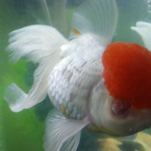 20170611_191411.jpg