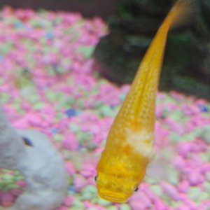 20170613_173555.jpg