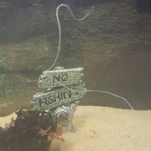 20170614_193337.jpg