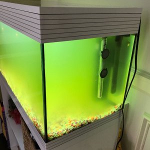tank at its worst 2.jpg