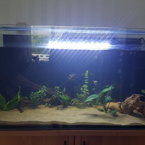 20170618_212057.jpg