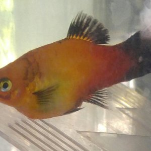 20170725_084523.jpg