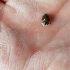20170730_153649.jpg