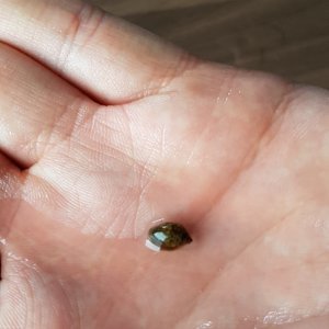 20170730_153643_001.jpg