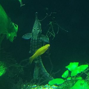 IMG_3823.JPG