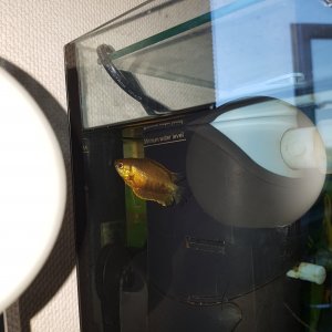 20170810_180927.jpg
