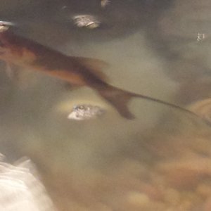 20170829_102254.jpg