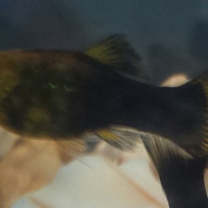 20170830_123724-1.jpg