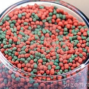 aquariumfishfoodgranules.jpg