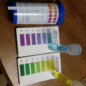 20170907_205036.jpg