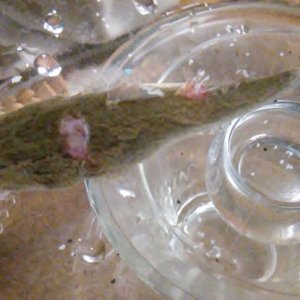 20170907_205732.jpg