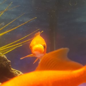 20170919_204056.jpg