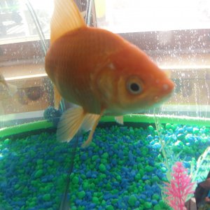 20170927_101442.jpg