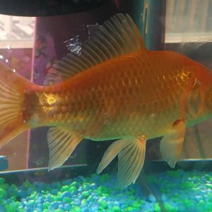 20170927_101455_Burst01-1.jpg
