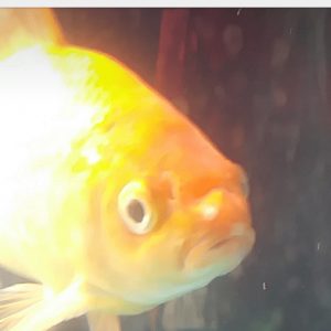 Screenshot_2017-09-27-14-18-22.png