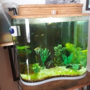 curved glasss 1.jpg