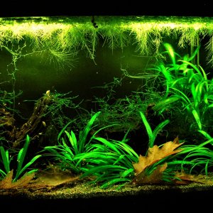10g Sept 9-17.JPG