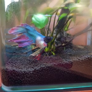 20170922_095550[1].jpg