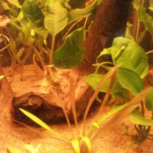 20171004_134331.jpg