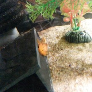 20171004_135907.jpg