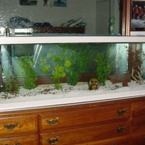 Fish__March_1st_017.jpg