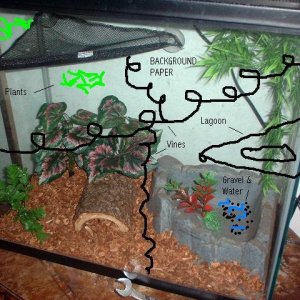 frog_tank_b_edit.jpg