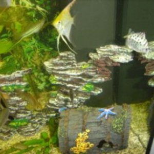 tank1.jpg