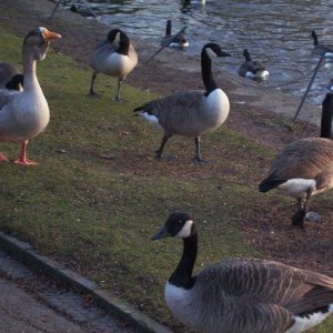 park.jpg