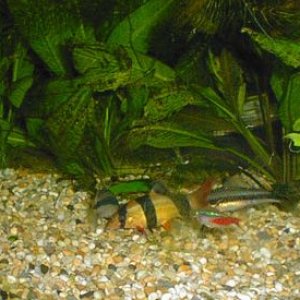 feeding_4.jpg