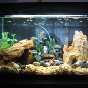 10g1.jpg