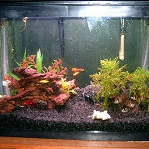 fishpics_072.jpg