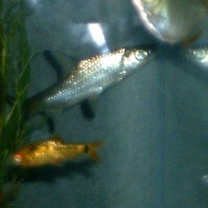 fishpics_034.jpg