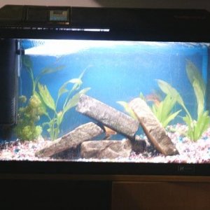 Small_Tank___far_2.jpg