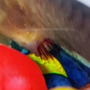 20171101_143847.jpg