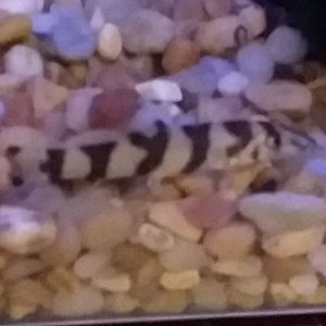 20171101_220852.jpg