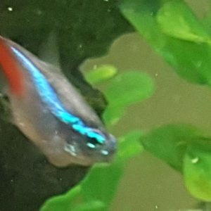 20171107_181140.jpg