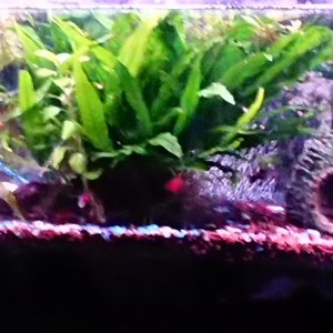 _20171209_160915.JPG